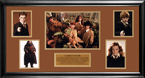 FamousRetail Harry Potter Photo Montage