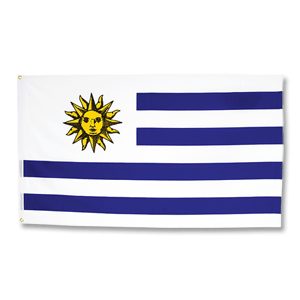 Uruguay Large Flag