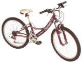 Silverfox Fantasy Girls Bike