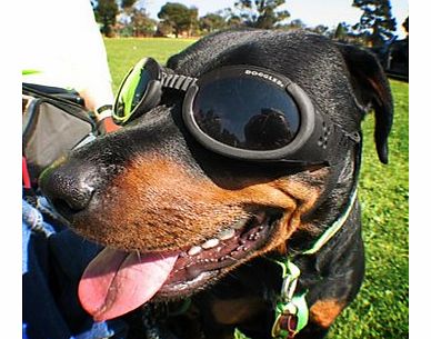 Doggles (ILS Large Black)