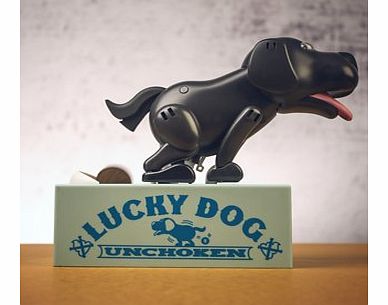 Eat  Poo Dog Coin Bank (Black)