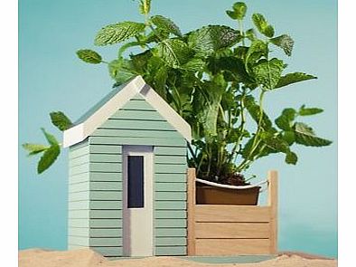 Indoor Beach Hut Planter