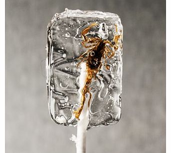 Insectilix Lolly (Vodkalix - Scorpion)