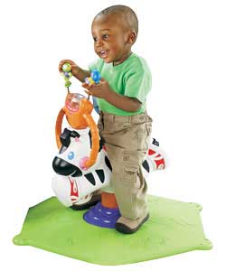 Fisher Price Bounce And Spin Zebra