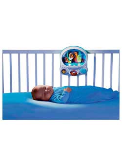 fisher-price Ocean Wonder Aquarium Soother