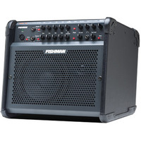 Loudbox 100 Acoustic Amp