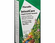 Floradix Intestcare - 250ml 025438