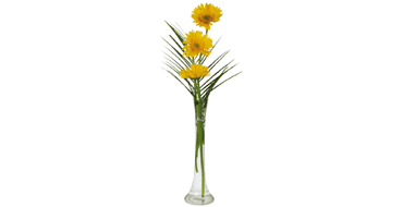 Arrangement with Vase