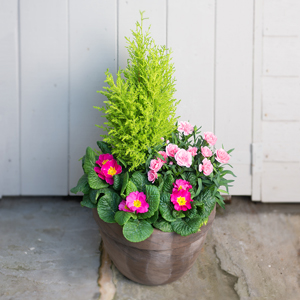 Flowers Direct Large Terracotta Planter