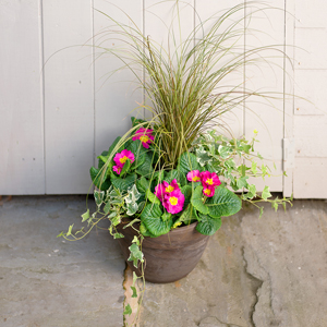 Flowers Direct Small Terracotta Planter