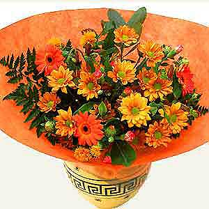 Flowers Directory Citrus Fresh