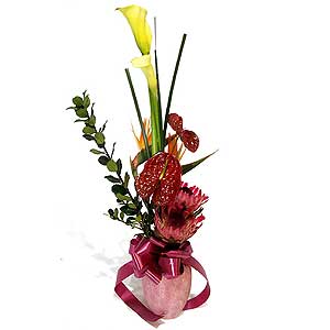 Flowers Directory Exotic Tower Handtie