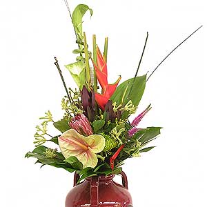 Flowers Directory Tropical Flower Arrangement