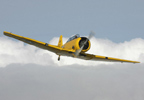 Flying 20 Minute Warbird Flight