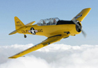 Flying 25 Minute Warbird Flight