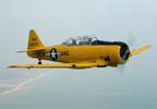 Flying 40 Minute Warbird Flight