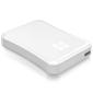 Formac 250GB DISK MINI HDD USB2 2.5`` FIREWIRE