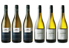 Forrest Explorer Sauvignon Blanc Six-bottle case