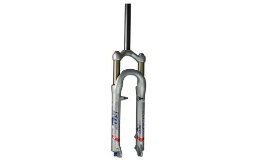 F100X 2006 Fork