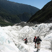 Fox Glacier Guided Half Day Walk - Adult