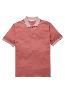 Branch Stripe Polo Tee