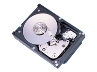 Fujitsu 300GB Ultra320 SCSI 80pin 10k RPM Hard Disk Drive