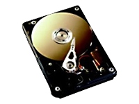 250GB HARD DRIVE