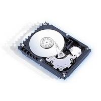 73GB 15-000rpm Ultra320 SCSI Hot