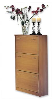 Furniture123 Salute Shoe Cabinet