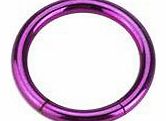 Gekko Body Jewellery Titanium Plated Over 316L Surgical Stainless Steel 16 Gauge (1.2mm) Purple Segment Ring - 10mm Diameter