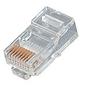 RJ45 Plug 50 pack