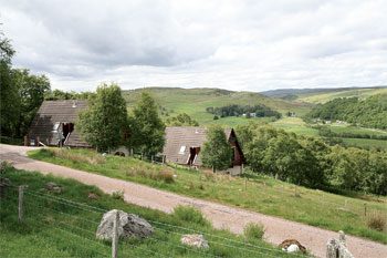 Glen Fleet