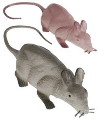 Glow In The Dark Squeaking Rat