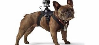 Gopro Fetch Dog Harness