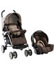 Mosaic Travel System OHF Pegasus