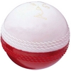 GRAY-NICOLLS ACADEMY CRICKET BALL (545405)