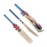 Gray-Nicolls Gray Nicolls Nitro 3 Star Cricket Bat (Short Handle,2lb 9oz)