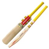 Gray-Nicolls Gray Nicolls Powerbow 3 Star Pre Prep Junior Cricket Bat (Harrow)