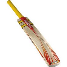 Gray-Nicolls Gray Nicolls Powerbow Carbo Jr Cricket Bat