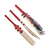 Gray-Nicolls Gray Nicolls Predator 5 Star Junior Cricket Bat (5)