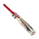 Gray-Nicolls Gray Nicolls Predator Warrior Junior Cricket Bat (4)