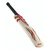 GRAY-NICOLLS Ignite Centurion Junior Cricket Bat