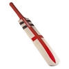 GRAY-NICOLLS KASHMIR WORLD CUP - ST. GEORGES