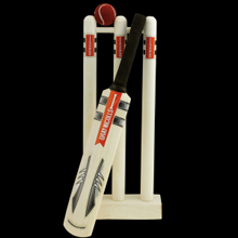 Gray Nicolls Mini Game