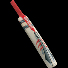 Gray Nicolls Miniature Autograph Bats