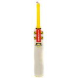 Nicolls Blaze Powerbow Bat Multi SH