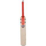 Gray Nicolls Nicolls Predator Shot Bat Multi 6