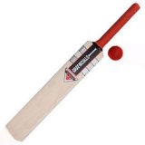 Gray Nicolls Nicolls Strauss Set 90 4