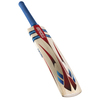 GRAY-NICOLLS Nitro Blast Junior Cricket Bat