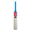 GRAY-NICOLLS Nitro Carbo Cricket Bat